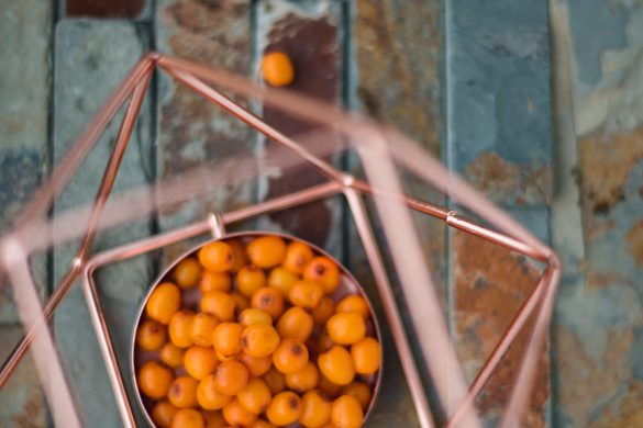 ŠALTALANKIAI FOOD PHOTOGRAPHY SEABUCKTHORN