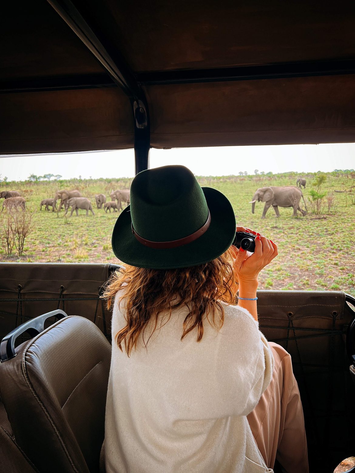 Pietų Afrika kelionė safari