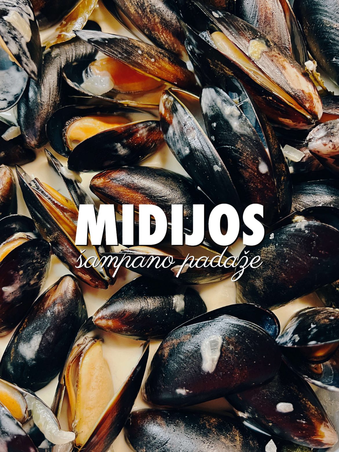 midijos-sampano-padaze