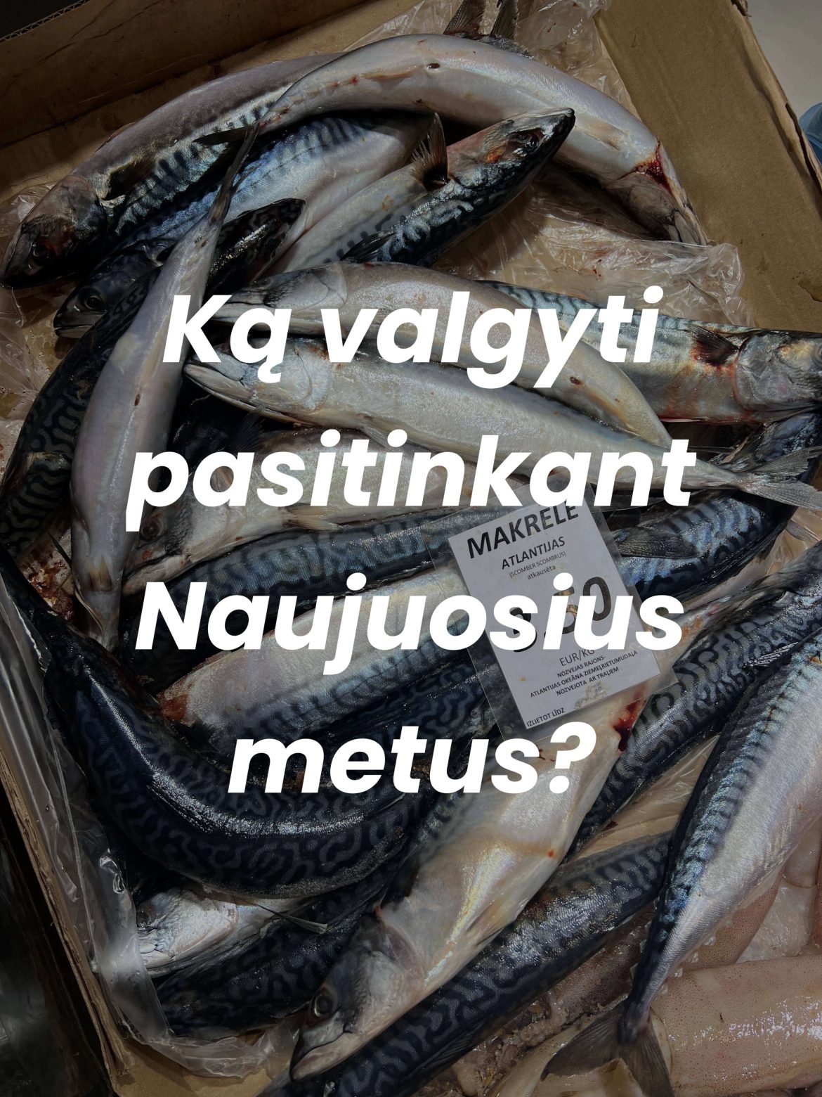 NAUJI METAI MAISTAS PER NAUJUOSIUS , TRADICIJOS